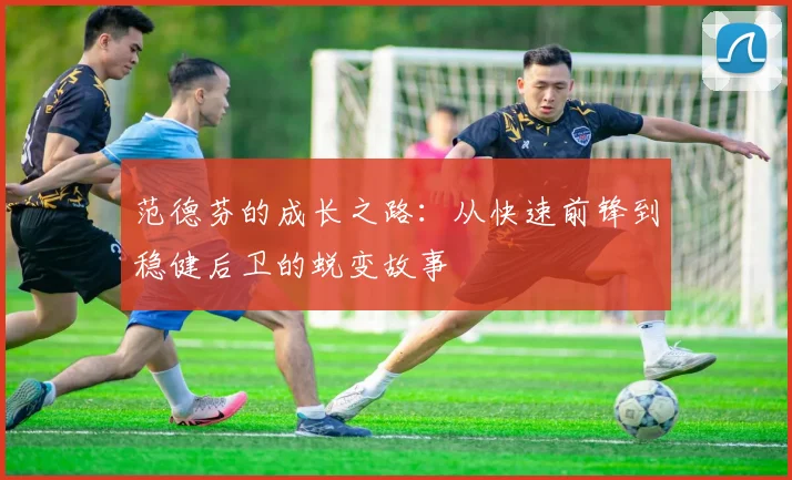 范德芬的成长之路：从快速前锋到稳健后卫的蜕变故事
