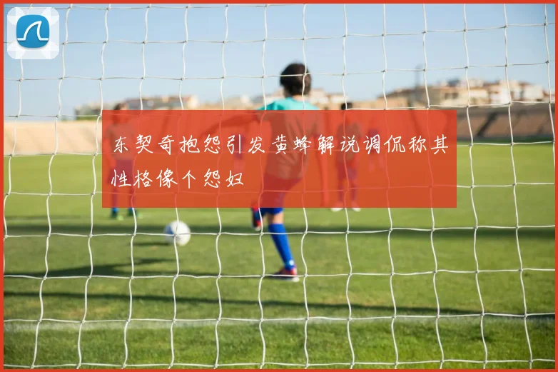 东契奇抱怨引发黄蜂解说调侃称其性格像个怨妇