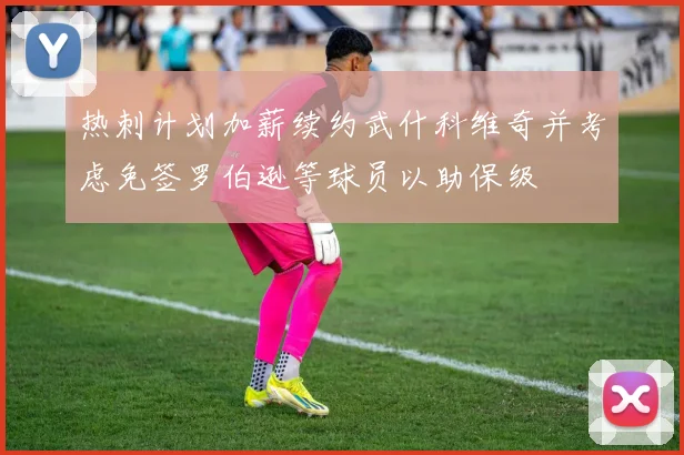 热刺计划加薪续约武什科维奇并考虑免签罗伯逊等球员以助保级